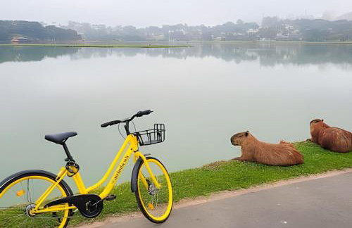 Refúgio Boutique | Cama King + A/C | Barigui - Photo 21