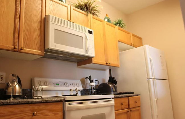 Windsor_palms_303cp-n - Foto 9