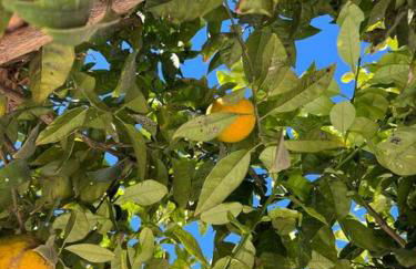 Club Salino 18 - Foto 13