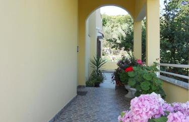 Apartments Gržanov - Photo 22