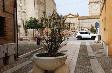 Palazzo Trevisani - Foto 14