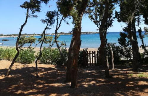 Ktima Grammeno Beachside Villa - Photo 73