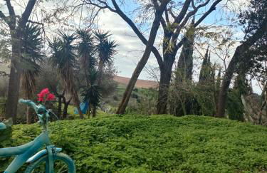 Las Brujas - Foto 16