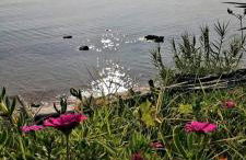 Agrumeto Costa dei Trabocchi - Foto 23