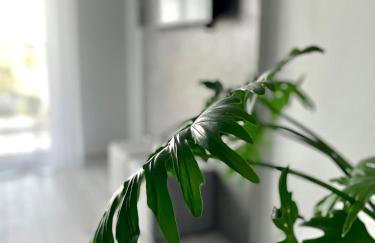 Ach, To Tu- Apartament Łańcut - Foto 7