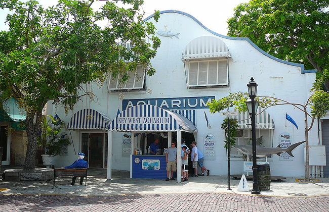 Key West Aquarium - Foto 2