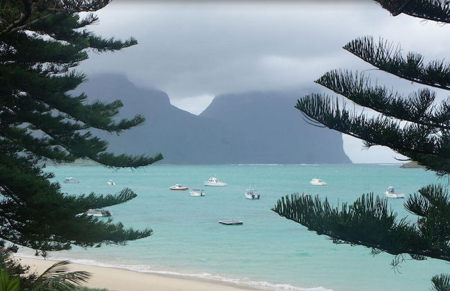Somerset Apartments Lord Howe Island - Foto 22