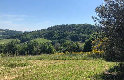 Casale del monte, Pesaro - Foto 17