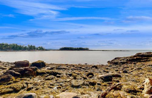 Seguinlandia - Foto 29