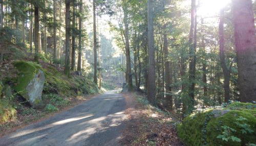 Le Petit Biscuit - Photo 2