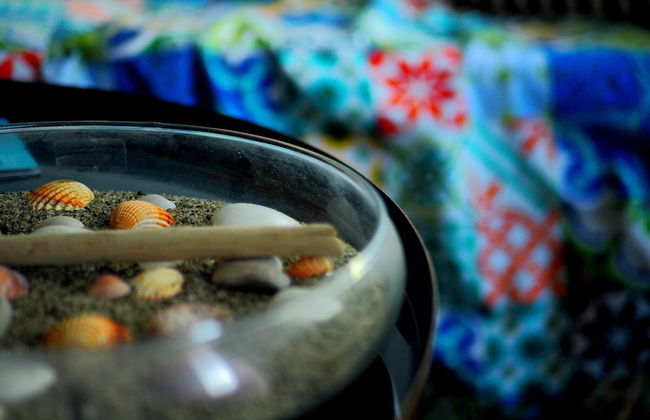 Apartment With Garden Close To The Beach - Foto 26