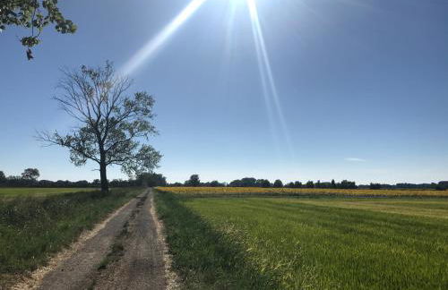 Mas Antonine Cigalle - Foto 22