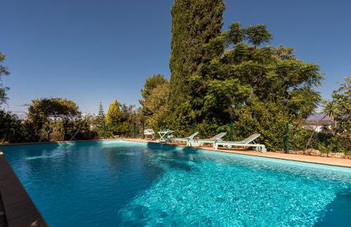 Fazenda do Sul - Foto 24