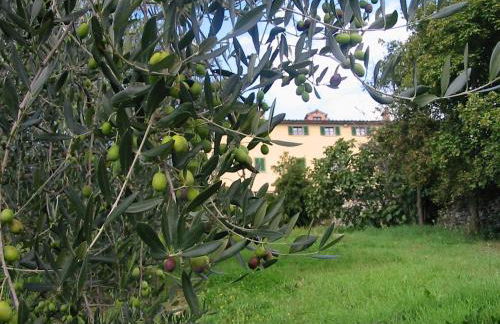 Hotel Relais Palazzo di Luglio - Photo 30