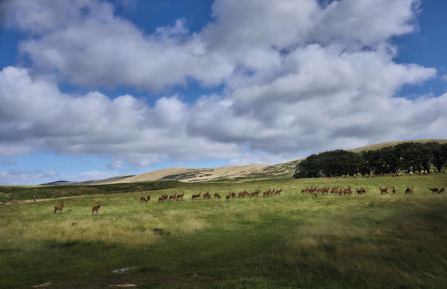 Mauldslie Hill Cottage - Photo 10