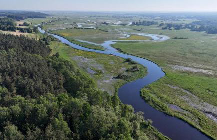 Biebrzaski - dom nad Biebrzą - Foto 29