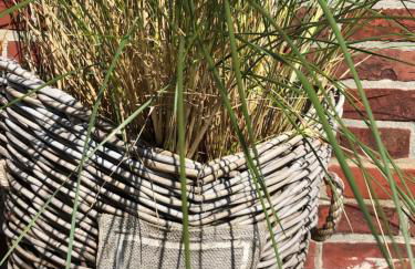 Eidumhaus, freistehendes Reetdachhaus mit Garten in Strandnähe - Foto 10