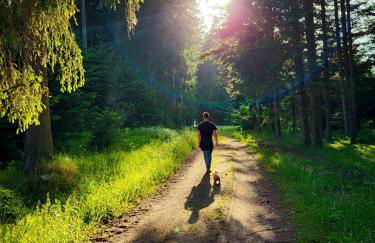 Ferienhaus Robin - Foto 48