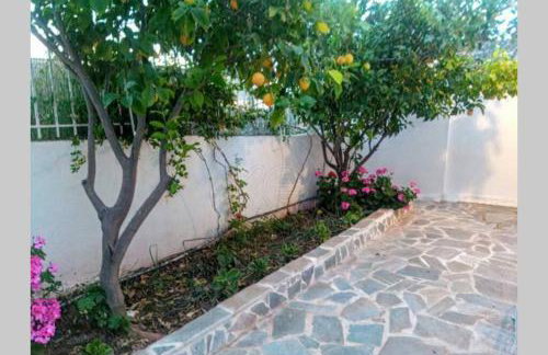 Lagonisi MAGIC HOME RELAXATION - Foto 19