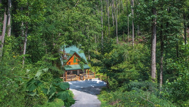 Servicios del alojamiento