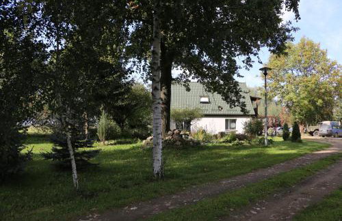 Agroturystyka Żuławiaczek - Foto 28