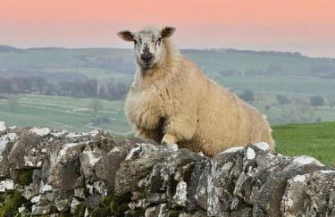 Thors Cave Cabin, Peak District - Photo 8