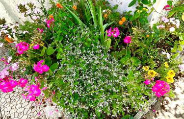 Cosy House Near Paris, CDG Airport + parking - Foto 24