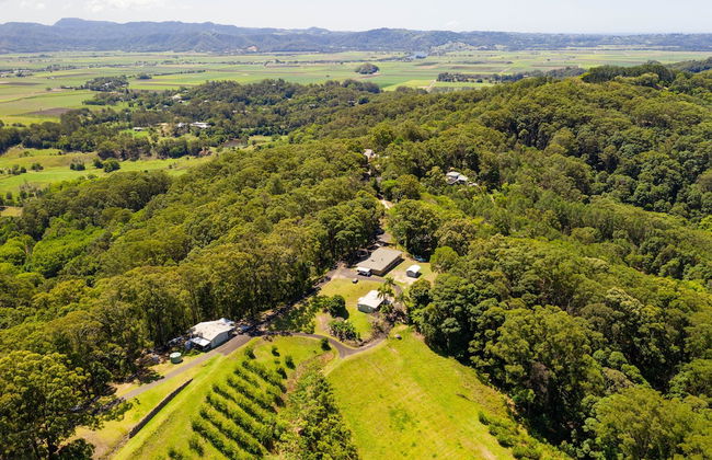 Clothiers Creek Farm - Photo 39