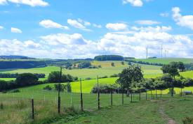 Ferienwohnung Pferdestärke-Eifel - Foto 2