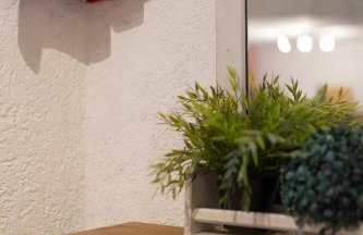 Taunuslodge - Foto 13