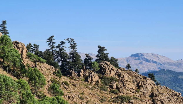 Desfrutando da natureza da zona