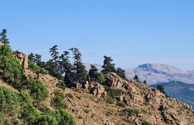 Randonnée dans la forêt de pins d'Estepona - Photo 4