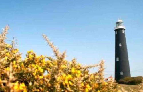 Charming original fishermans cottage on Dungeness beach - Photo 31