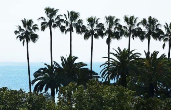 Villa d'Estelle Cannes - Foto 56