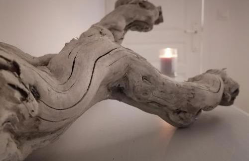 A l Aube du Midi - Foto 68