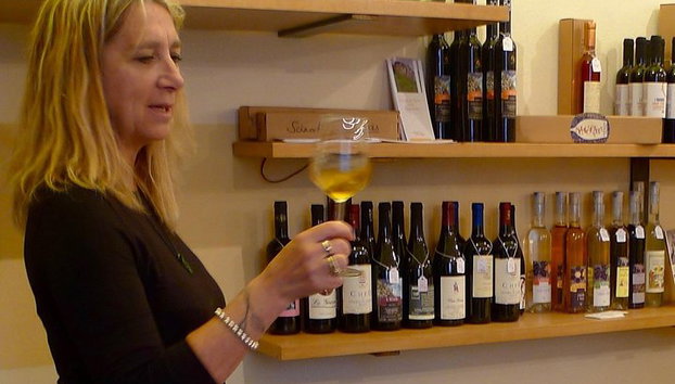 Visite du vignoble et dégustation de vins - Photo 4