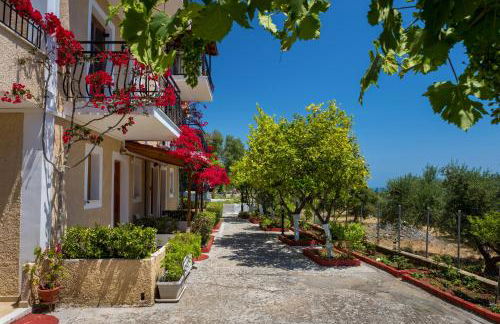 BUENA VISTA studios - Foto 7