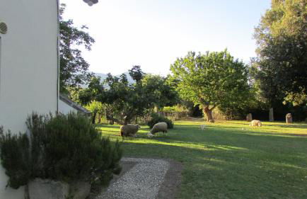 Agriturismo "Borgo Madonna degli Angeli" - charming cottages in the gardens ! - Foto 78