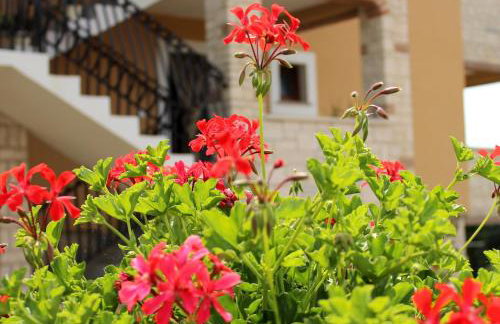 DS Apartment Porec - Foto 18