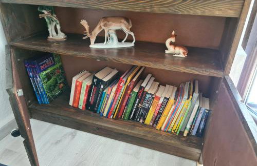 Domek w Lesie Bory Tucholskie - Foto 19