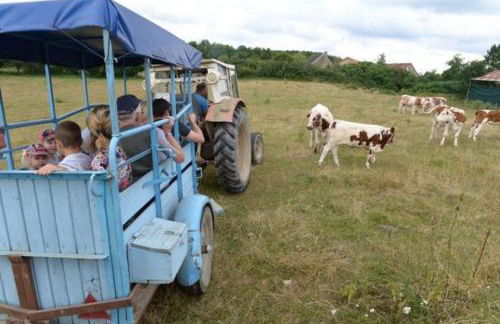 La petite Maison du Bonheur & Jacuzzi - Photo 43