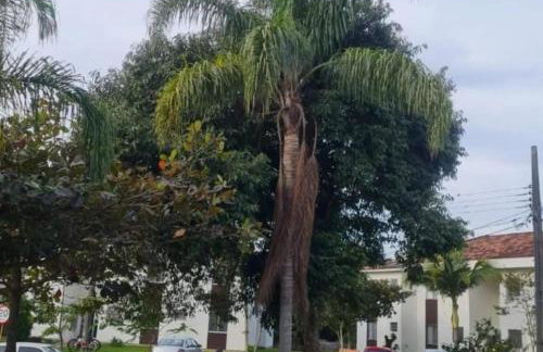 Apartamento em Canasvieiras Buona Vitta - Foto 24
