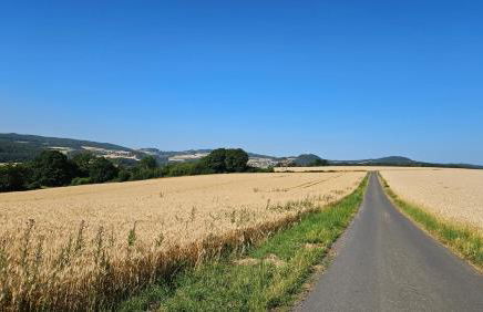 Ferienwohnung Rodder Maar - Foto 19