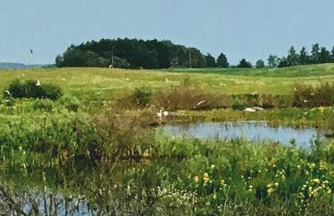 Haus Masur - Photo 77