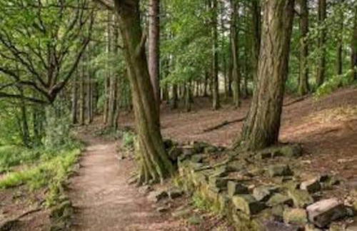 Cheerful 2 bedroom town house in Lancashire - Foto 10