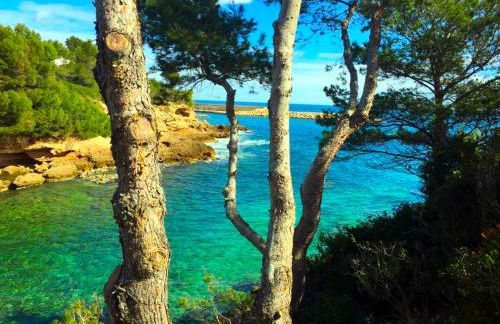 La Perla De la Ostra - Foto 33