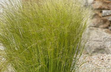 KER LONGITUDE - Foto 4