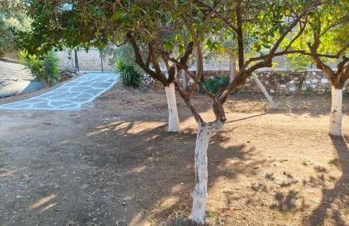 Petrohori before midnight - Foto 50