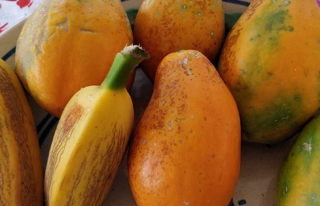 Casale Della Pergola Eco-friendly by the sea - Foto 44