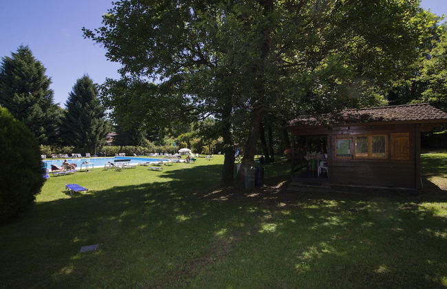 Rododendro Rosso in Ispra - Foto 25